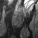 six